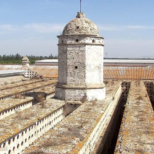palomar_huerta