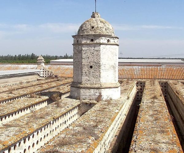 palomar_huerta
