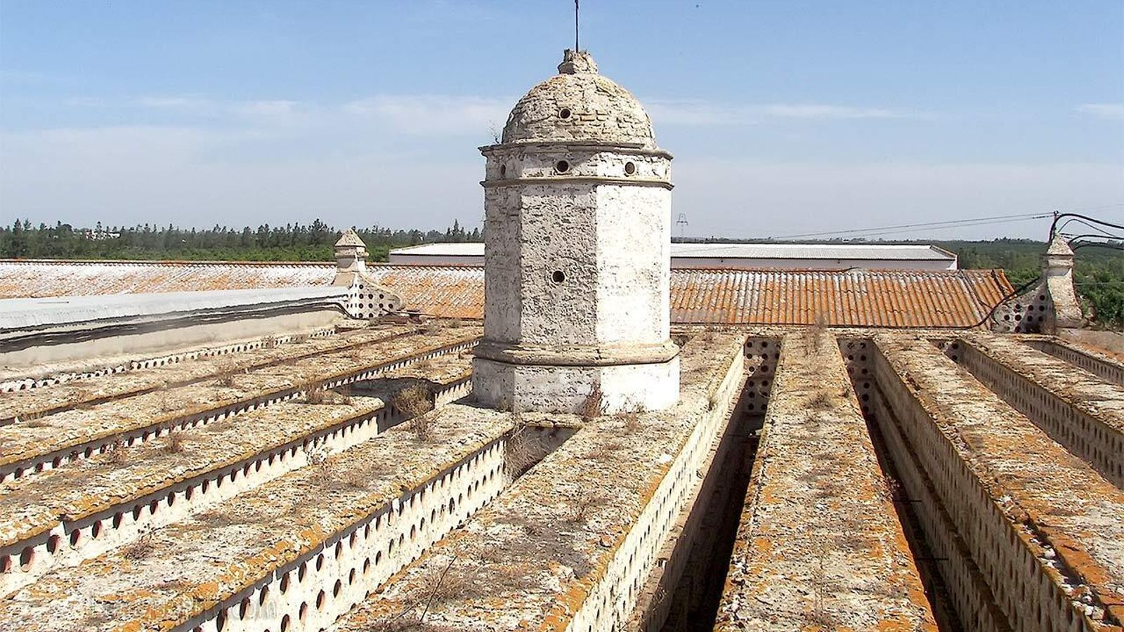 palomar_huerta