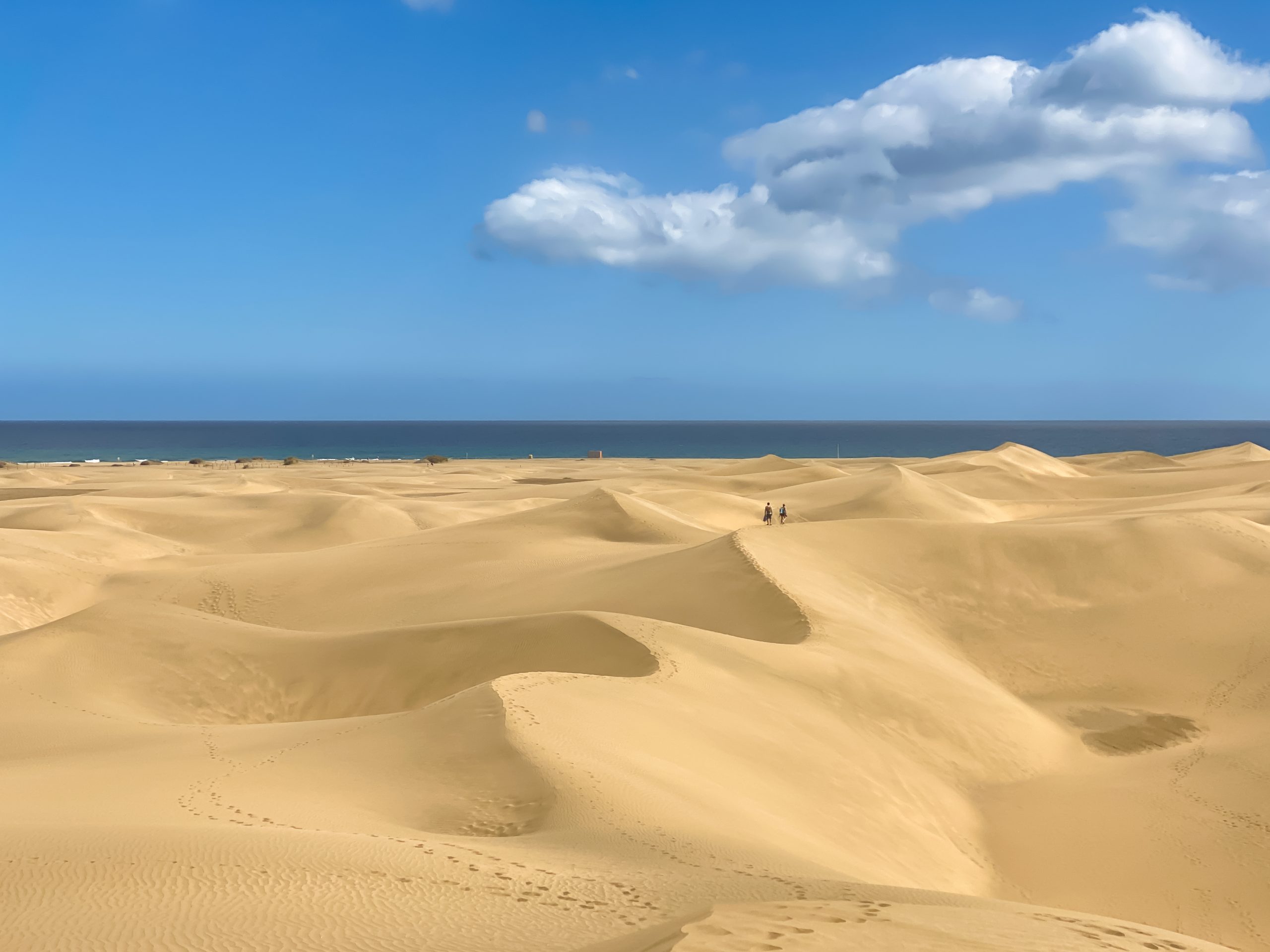 Las Dunas de Maspalomas